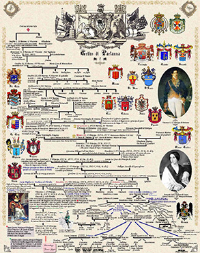 seconda tavola albero genealogico Grifeo