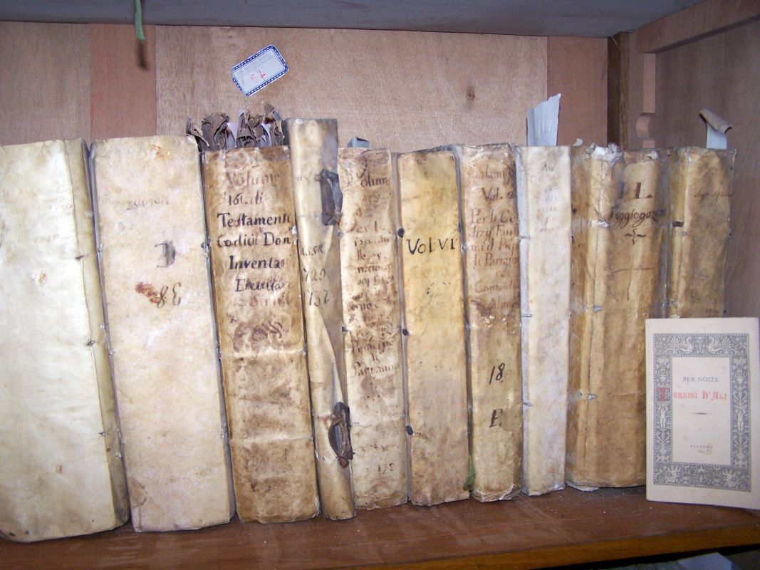 altra veduta parziale della collezione Archivio Grifeo